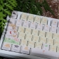 Freehand Brushwork 104+16 PBT Keycaps Set Backlit / Opaque Cherry / QX3 Profile for MX Switches Keyboard